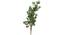 Sessi Artificial Plant (Green) by Urban Ladder - Front View Design 1 - 315069