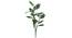Ventri Artificial Plant (Green) by Urban Ladder - Front View Design 1 - 315078
