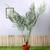 Palm artificial plant lp