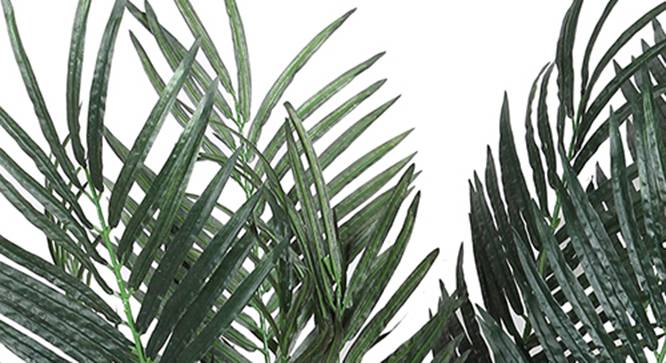 Palm Artificial Plant (Green) by Urban Ladder - Design 1 Side View - 315103