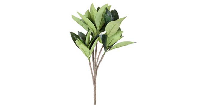 Rubber Artificial Plant (Green) by Urban Ladder - Front View Design 1 - 315114