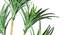 Carna Artificial Plant (Green) by Urban Ladder - Design 1 Side View - 315124