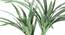 Elliot Artificial Plant (Green) by Urban Ladder - Design 1 Side View - 315133