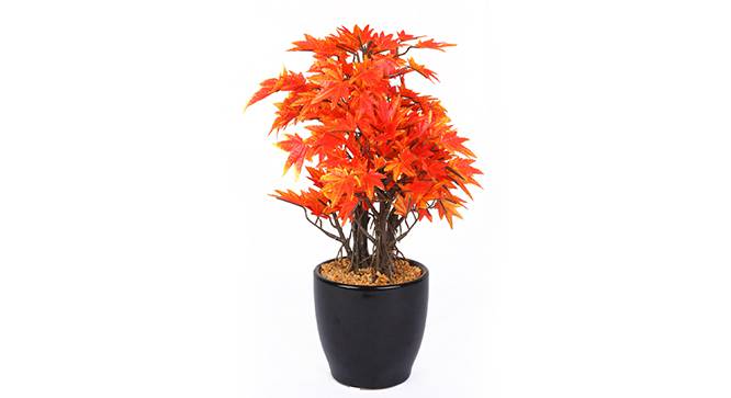 Acer Artificial Plant (Orange) by Urban Ladder - Front View Design 1 - 315159