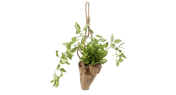 Inger Artificial Plant (Green) by Urban Ladder - Front View Design 1 - 315165