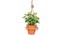 Arbor Artificial Plant (Green) by Urban Ladder - Front View Design 1 - 315186