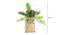 Buta Artificial Plant (Green) by Urban Ladder - Design 1 Side View - 315193