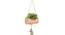 Duff Artificial Plant (Pink) by Urban Ladder - Front View Design 1 - 315209