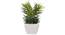 Kape Artificial Plant (Green) by Urban Ladder - Design 1 Side View - 315244