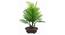 Molly Artificial Plant (Yellow) by Urban Ladder - Front View Design 1 - 315278