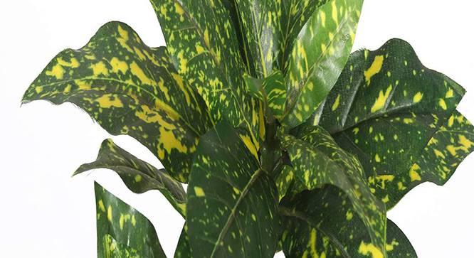 Montana Artificial Plant (Yellow) by Urban Ladder - Design 1 Side View - 315282