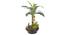 Denro Artificial Plant (Green) by Urban Ladder - Design 1 Side View - 315297