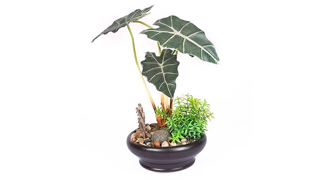 Costa  Artificial Plant (Green) by Urban Ladder - Front View Design 1 - 315299