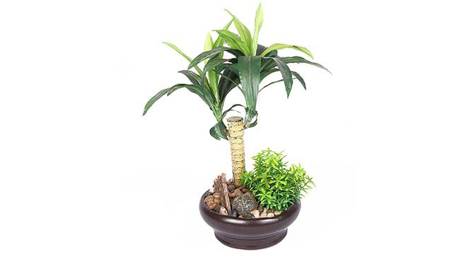Lette Artificial Plant (Green) by Urban Ladder - Front View Design 1 - 315305