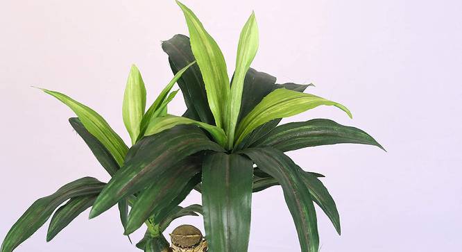 Lette Artificial Plant (Green) by Urban Ladder - Design 1 Side View - 315306