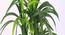Utah Artificial Plant (Green) by Urban Ladder - Design 1 Side View - 315309