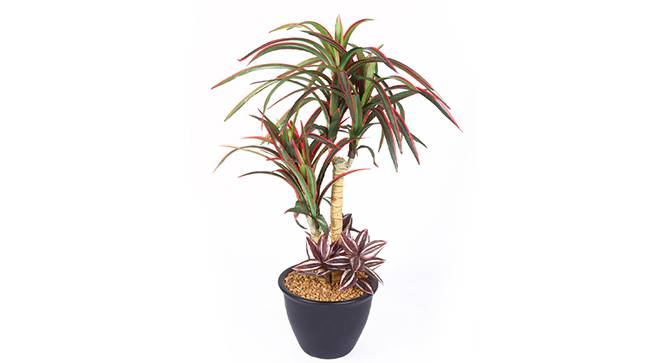Utah Artificial Plant (Red) by Urban Ladder - Front View Design 1 - 315311