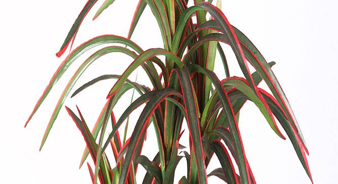 Utah Artificial Plant (Red) by Urban Ladder - Design 1 Side View - 315312