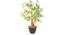 Buke Artificial Plant (Green) by Urban Ladder - Front View Design 1 - 315317