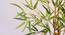 Buke Artificial Plant (Green) by Urban Ladder - Design 1 Side View - 315318