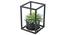 Sordi Red Artificial Plant (White) by Urban Ladder - Design 1 Side View - 315324