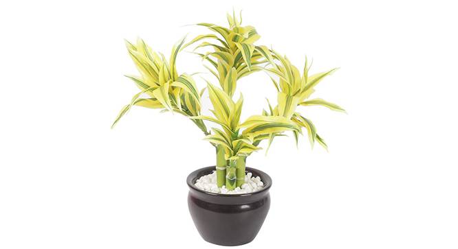 Yucci Artificial Plant (Yellow) by Urban Ladder - Design 1 Side View - 315336