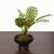 Walter brown artificial plant lp