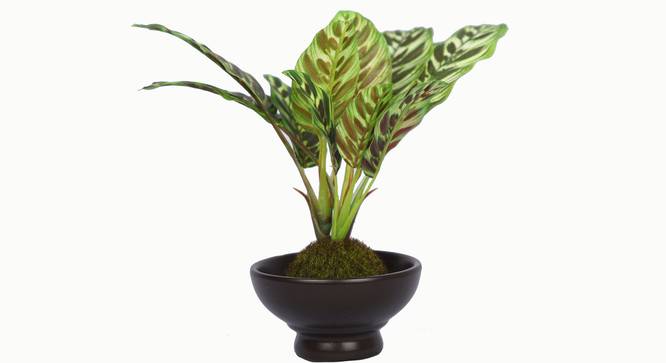 Walter Artificial Plant (Brown) by Urban Ladder - Design 1 Side View - 315342