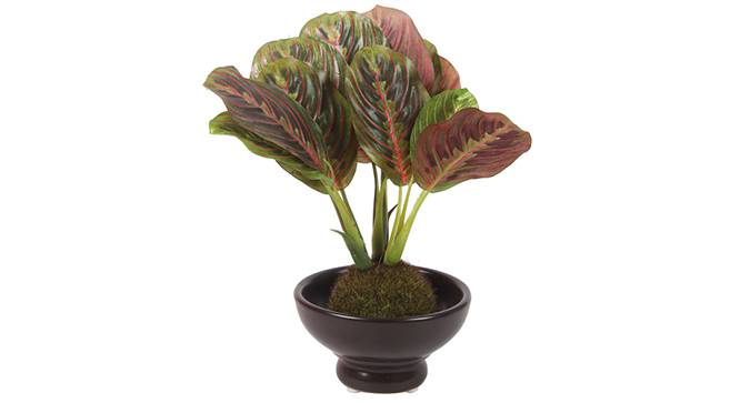 Walter Artificial Plant (Red) by Urban Ladder - Front View Design 1 - 315344