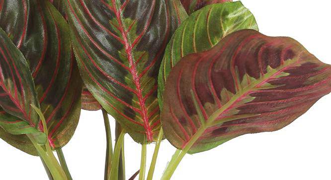 Walter Artificial Plant (Red) by Urban Ladder - Design 1 Side View - 315345
