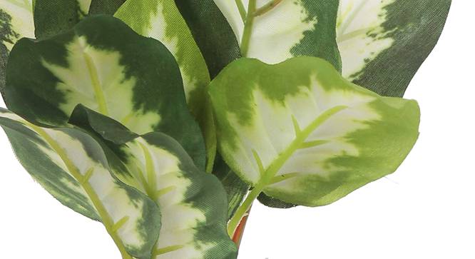 Walter Artificial Plant (White) by Urban Ladder - Front View Design 1 - 315347