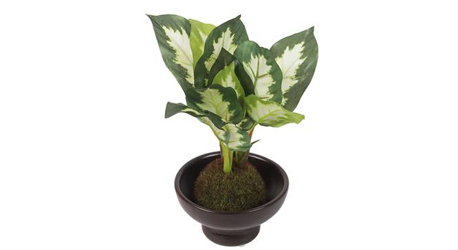 Walter Artificial Plant (White) by Urban Ladder - Design 1 Side View - 315348