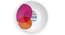 Circle of Life Pink Wall Plate (Round Shape, 20 x 20 cm (8" x 8") Size) by Urban Ladder - Front View Design 1 - 315372