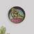 Titlisagar wall plate lp