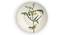 Blossom Wall Plate (Round Shape, 20 x 20 cm (8" x 8") Size) by Urban Ladder - Front View Design 1 - 315457
