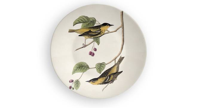 Indian birds wall Plates (Round Shape, 20 x 20 cm (8" x 8") Size) by Urban Ladder - Front View Design 1 - 315505