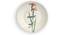 Indian birds wall Plates (Round Shape, 20 x 20 cm (8" x 8") Size) by Urban Ladder - Design 1 Side View - 315506