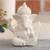 Vmi showpiece lp