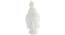Joyel Showpiece by Urban Ladder - Design 1 Full View - 316987