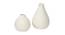 Aaron Vase - Set Of 2 (White) by Urban Ladder - Front View Design 1 - 317438