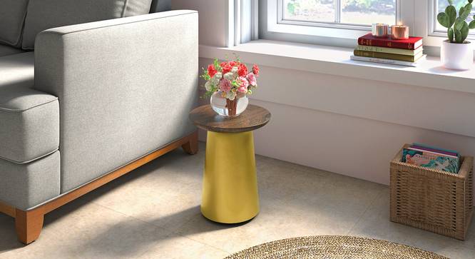 Rostrum Side Table (Small Size) by Urban Ladder - Full View - 317617