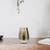 Aurelio vase1 lp