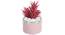Laura Artificial Plant With Pot (Red) by Urban Ladder - Design 1 Full View - 317795