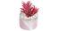 Laura Artificial Plant With Pot (Red) by Urban Ladder - Front View Design 1 - 317796