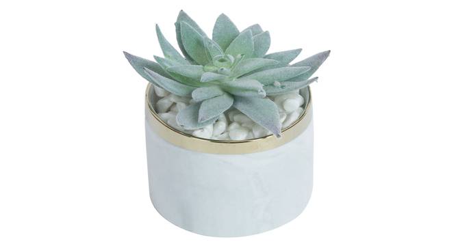 Laura Artificial Plant With Pot (Green) by Urban Ladder - Design 1 Full View - 317799