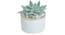 Laura Artificial Plant With Pot (Green) by Urban Ladder - Front View Design 1 - 317800