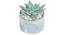 Laura Artificial Plant With Pot (Green) by Urban Ladder - Design 1 Full View - 317803