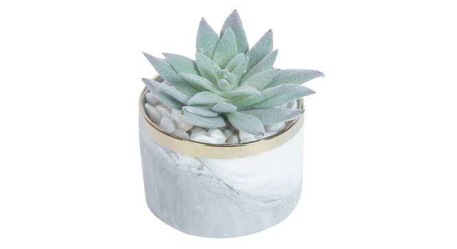 Laura Artificial Plant With Pot (Green) by Urban Ladder - Front View Design 1 - 317804
