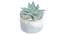 Laura Artificial Plant With Pot (Green) by Urban Ladder - Front View Design 1 - 317804