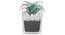 Pyrus Artificial Plant With Pot (Green) by Urban Ladder - Design 1 Full View - 317807
